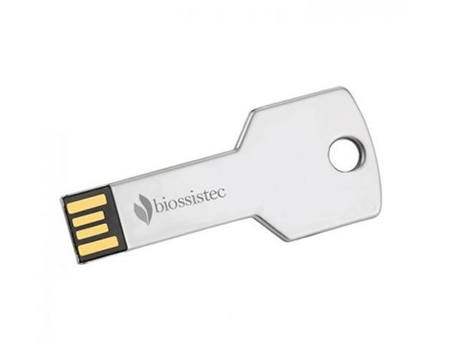 Pen Drive Chave 8GB Personalizado 024